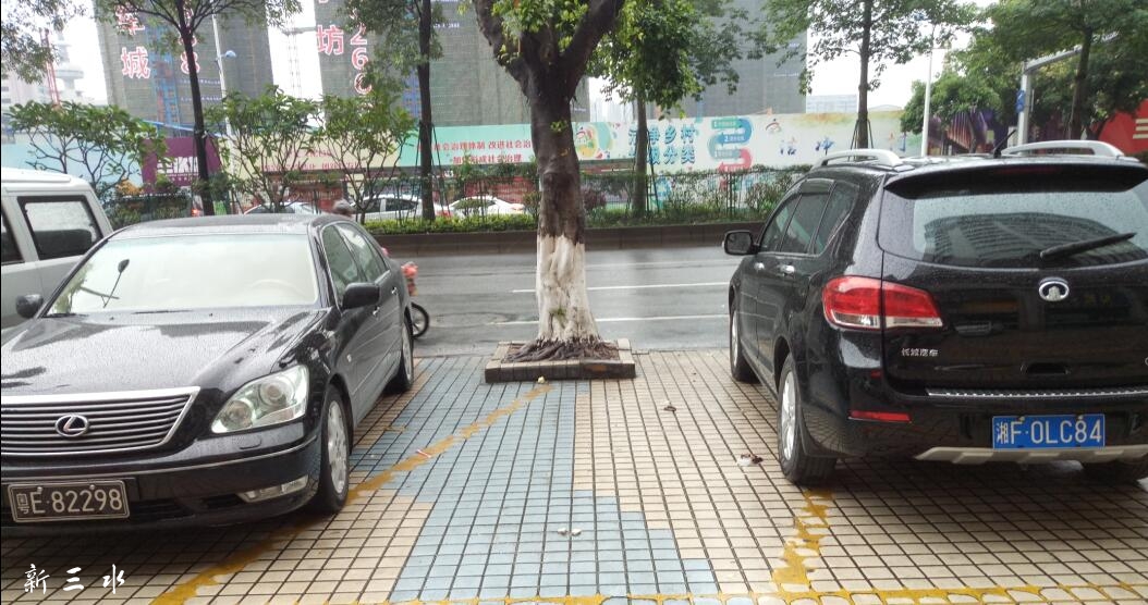 ��Щ�˵ĳ����������������̳�������