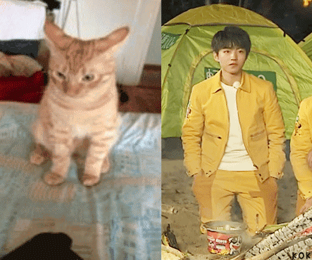 1.gif