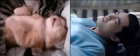 3.gif