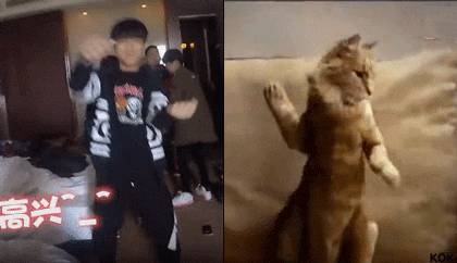 4.gif