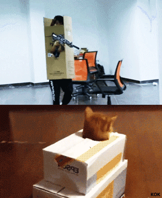 5.gif