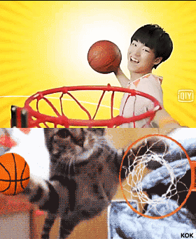6.gif