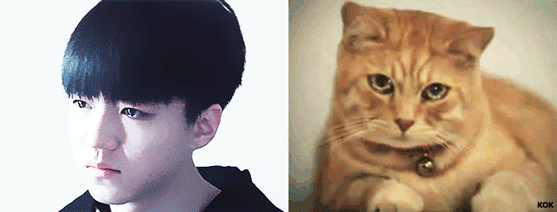 7.gif