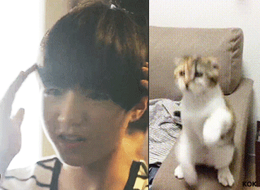 8.gif
