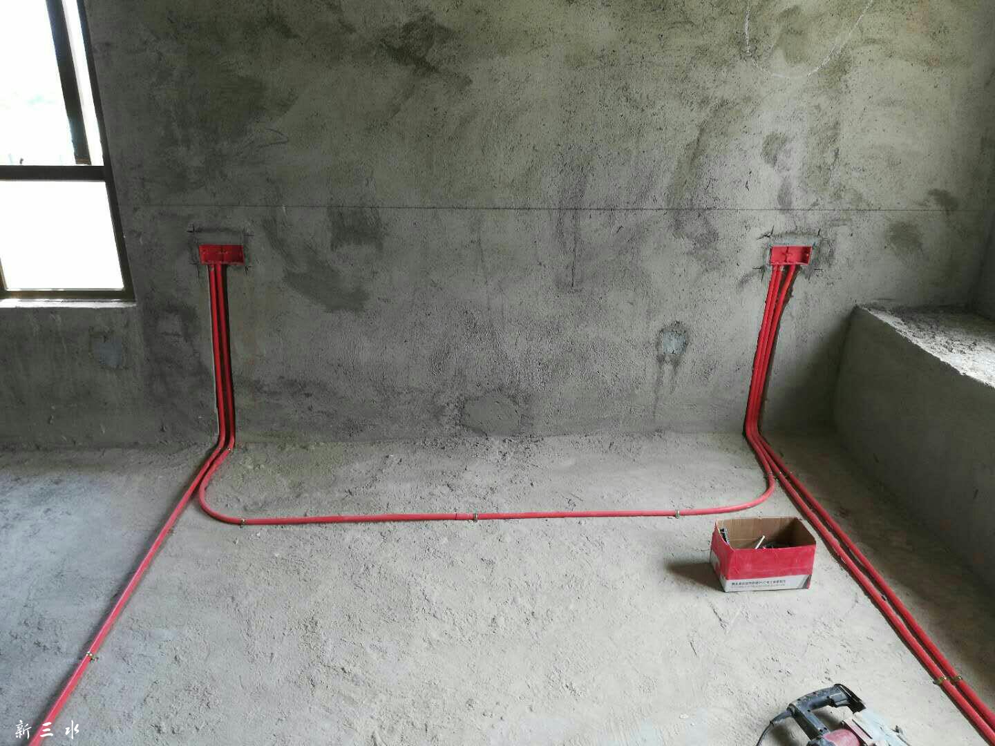 293905581.jpg