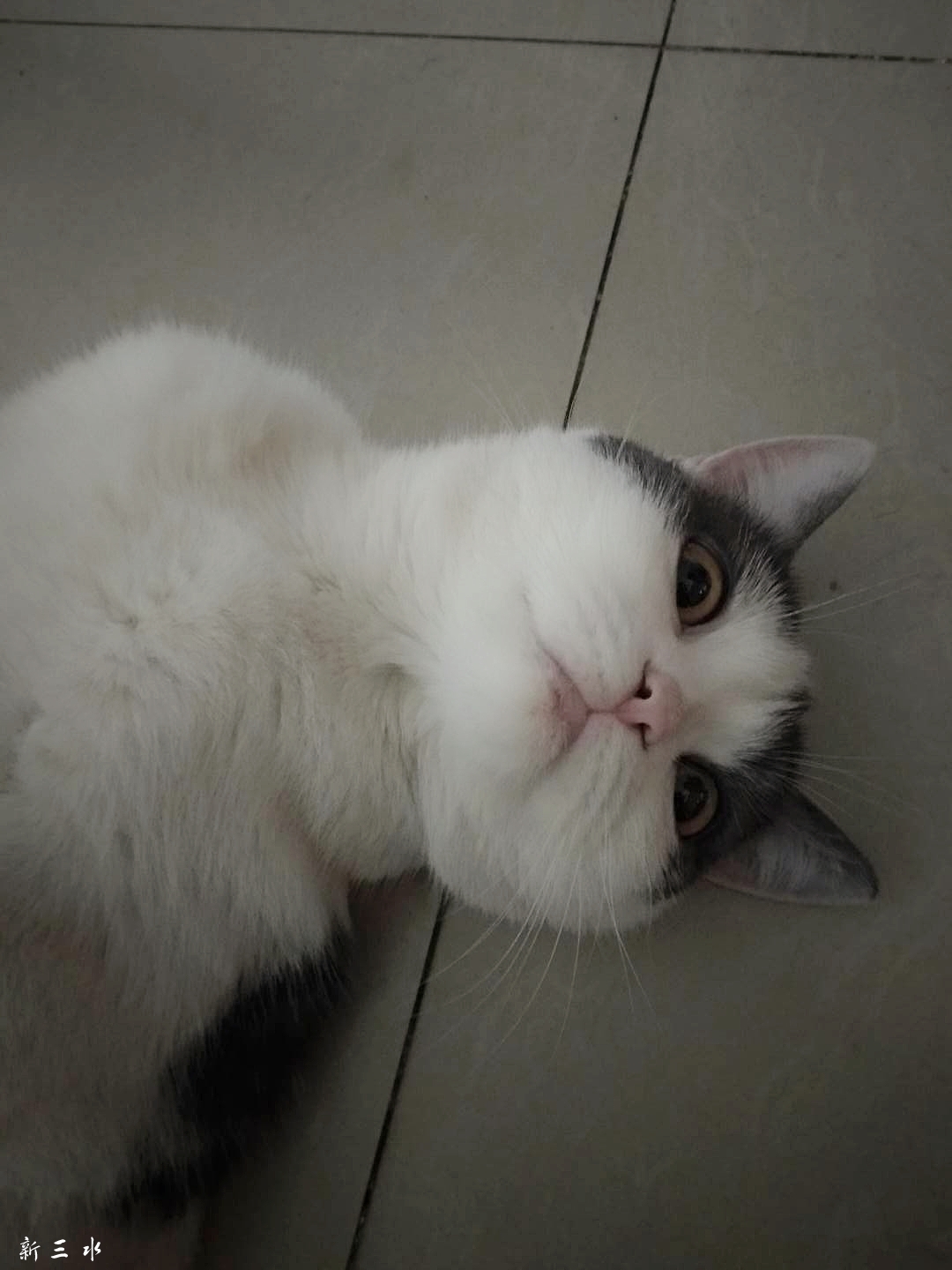 微信图片_20180621151405.jpg
