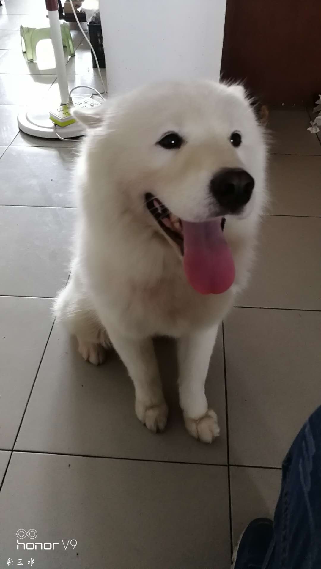 微信图片_20180625182616.jpg