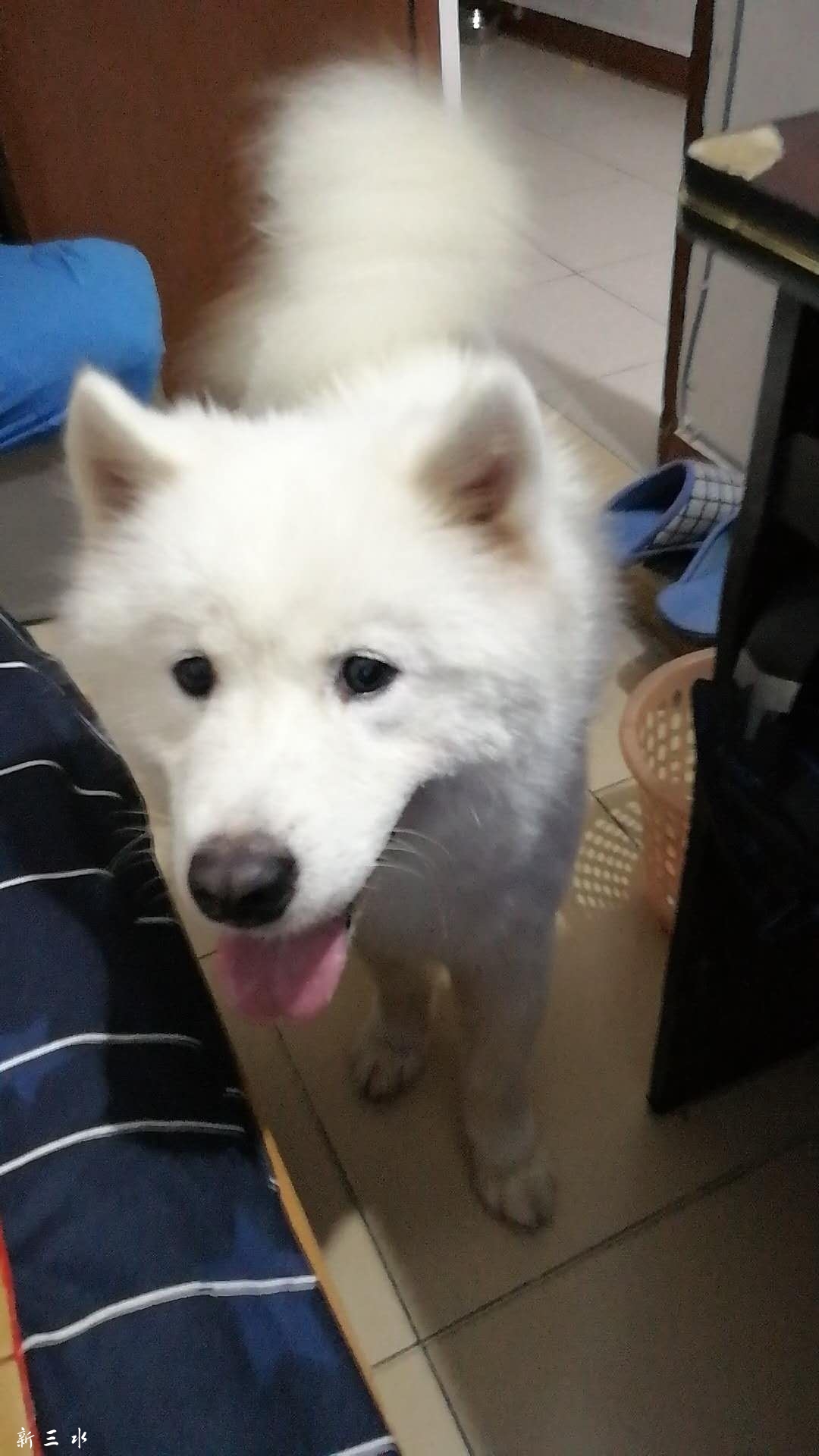 微信图片_20180625182633.jpg