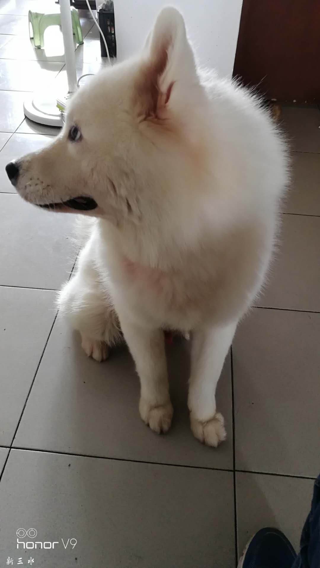 微信图片_20180625182626.jpg