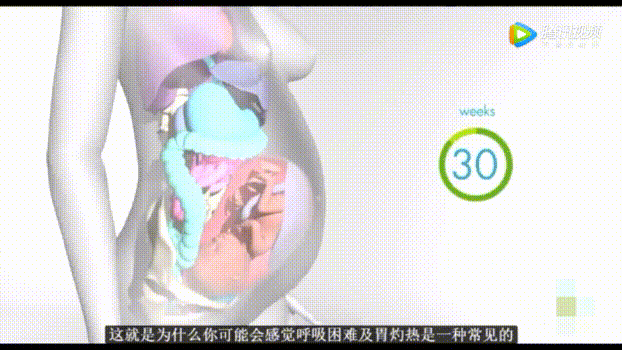 86b13ebcd1bb01eb376e78d116e6f02e.gif