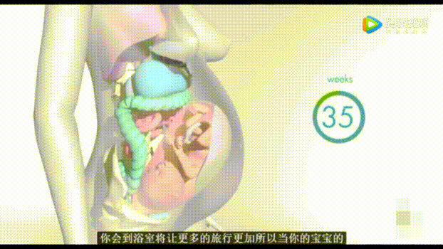 714f5991df148fc2b118dcd6db05291a.gif