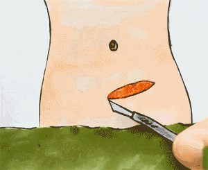 1570b61cab1f455b72d572f4d2964112.gif