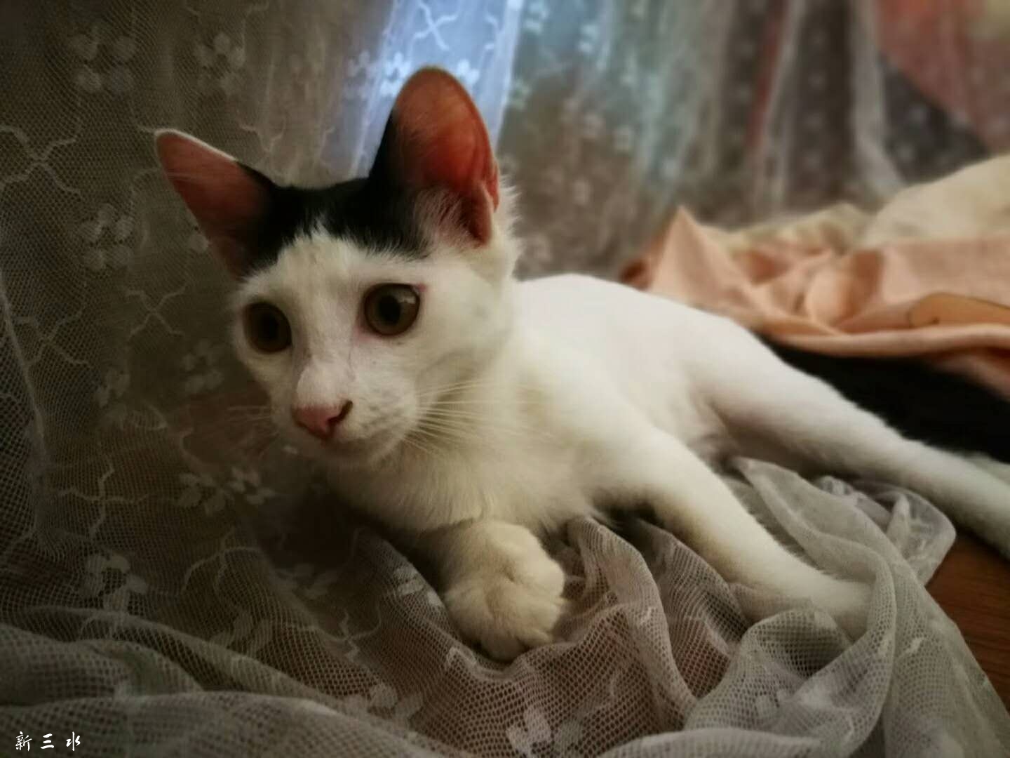 微信图片_20180719143816.jpg