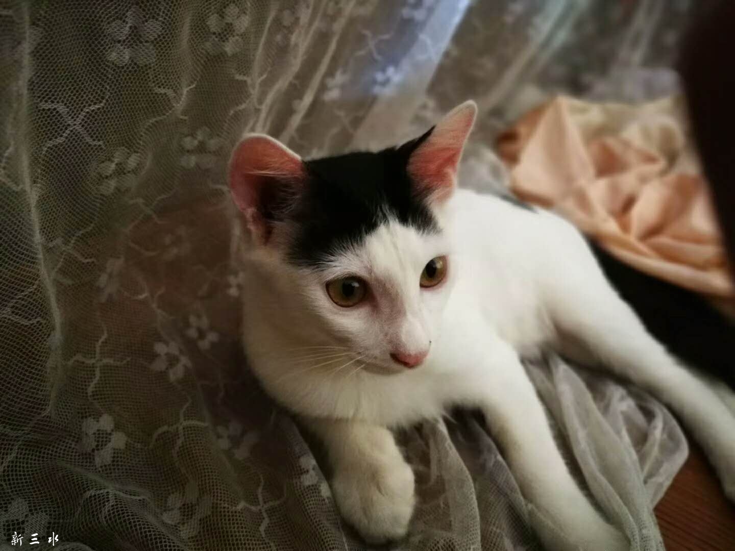 微信图片_20180719143828.jpg