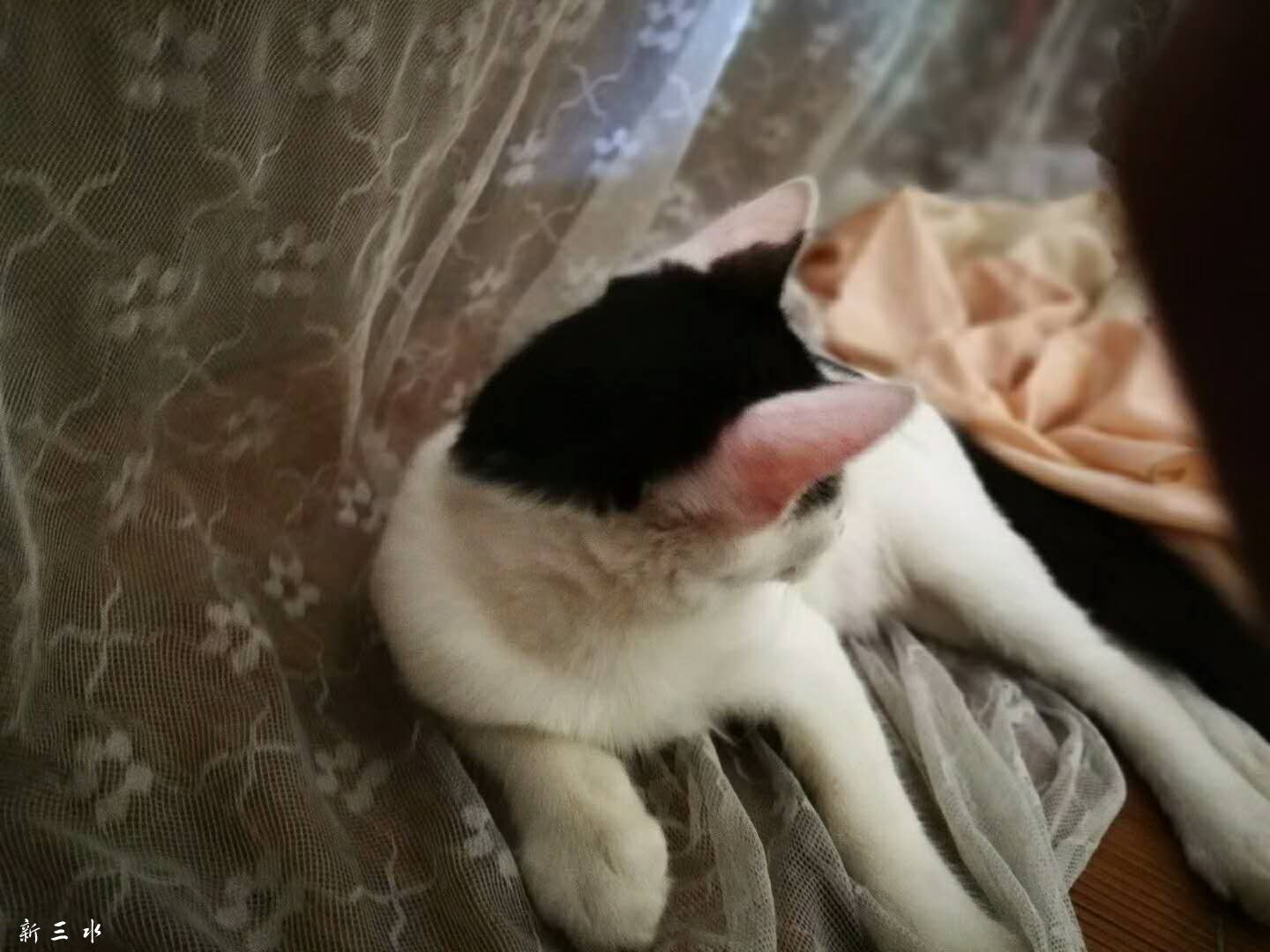 微信图片_20180719143825.jpg
