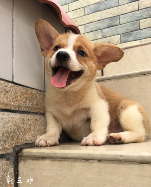 QQ截图20180726132622.png