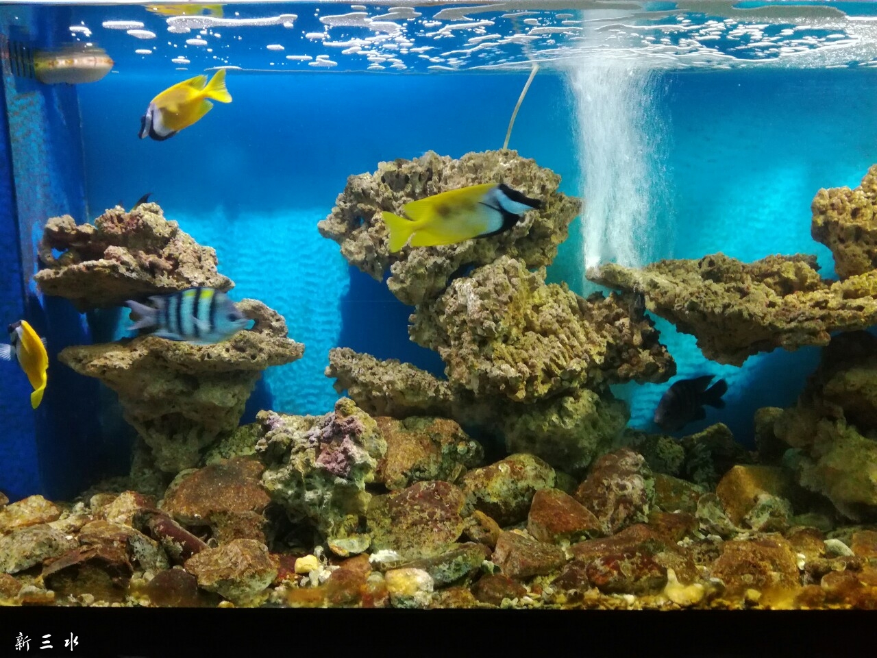 20180803_177140_1533305165342.jpg