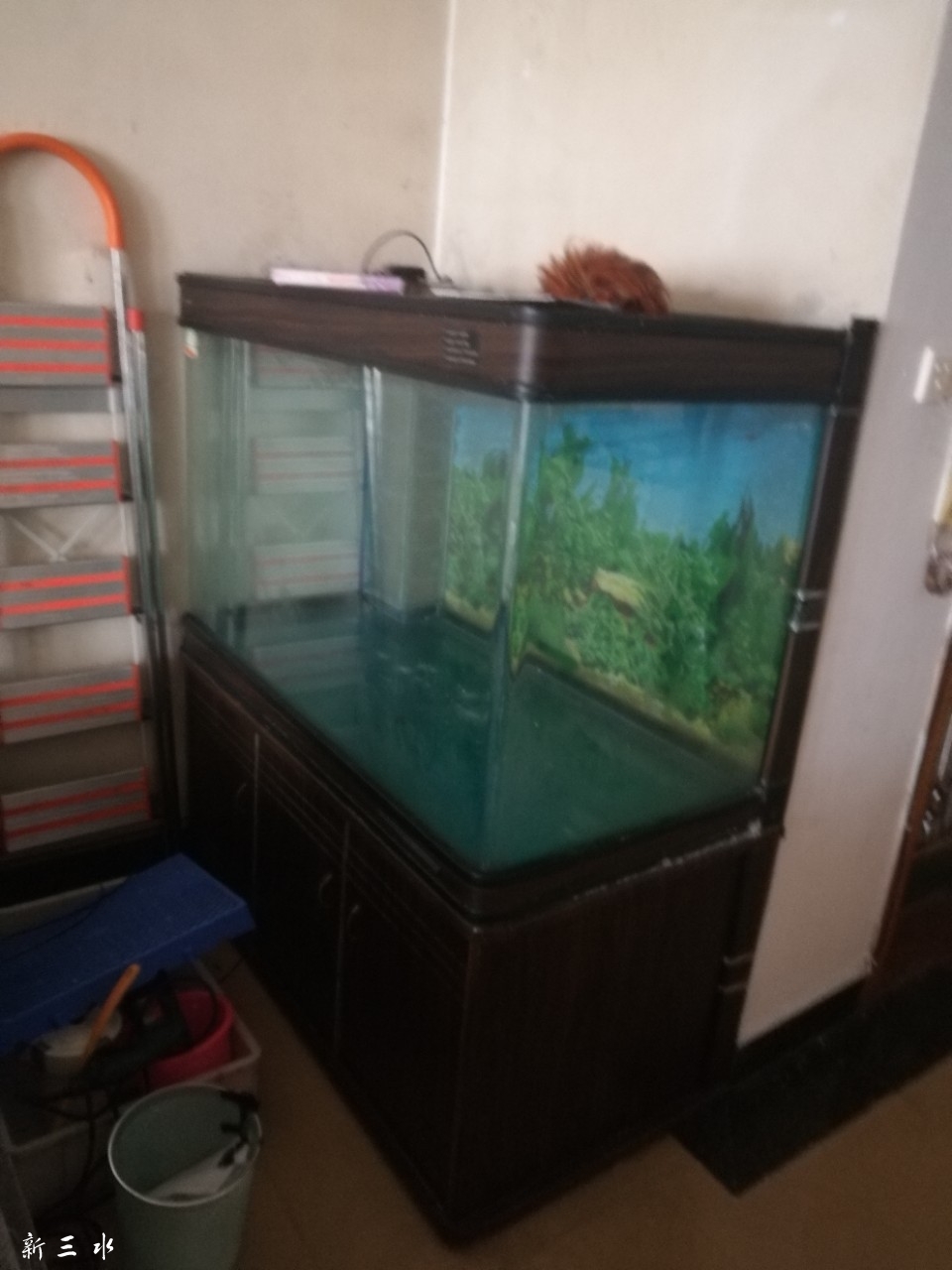 20180818_181194_1534557834811.jpg