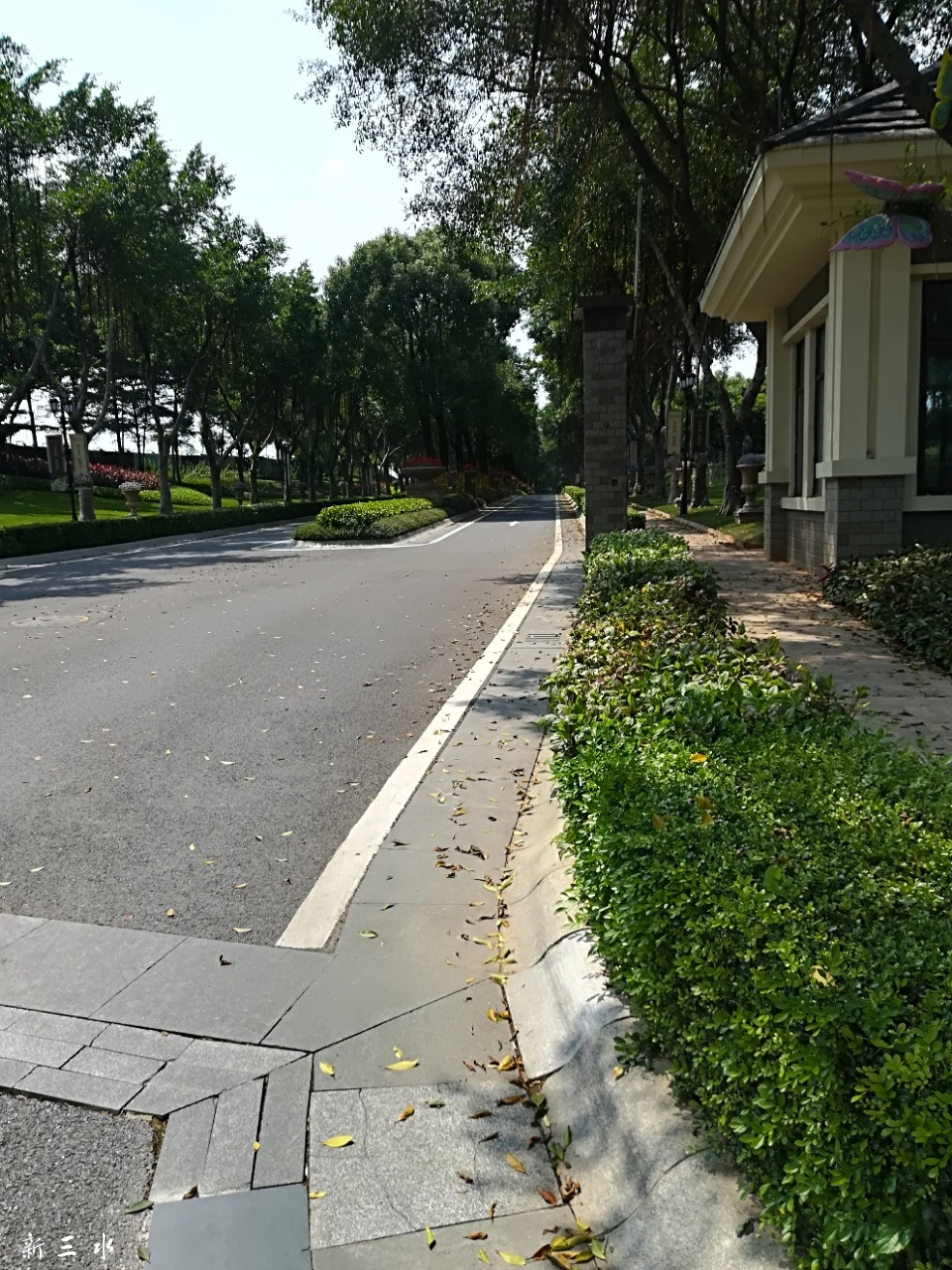 20180918_182626_1537274549879.jpg