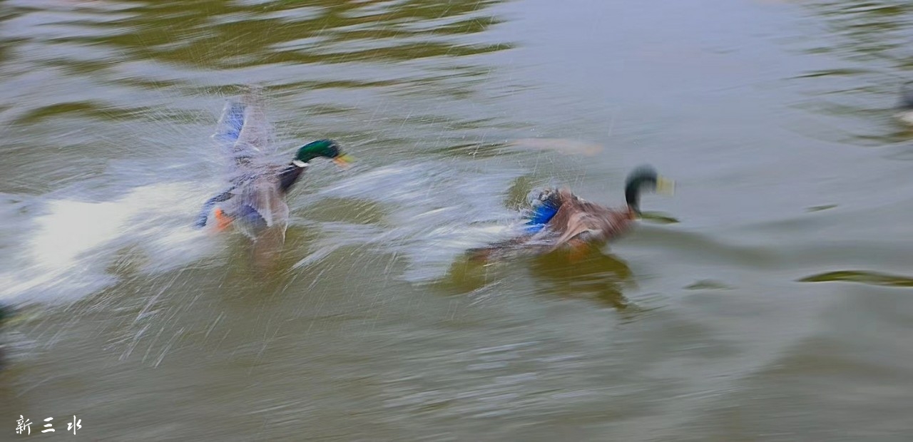 20180927_178300_1538044116677.jpg