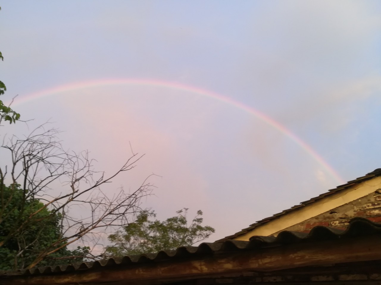 20181027_180518_1540649384167.jpg