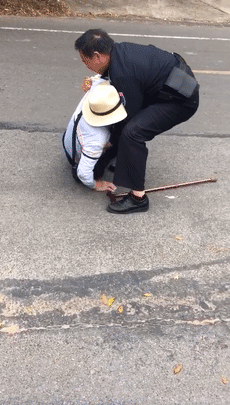 d0cb83585c9bc0926339d3e678e4b8e0.gif
