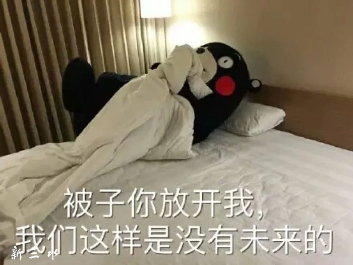 9ab7a6fe8d1c44fc144a273a745ed36e.jpg