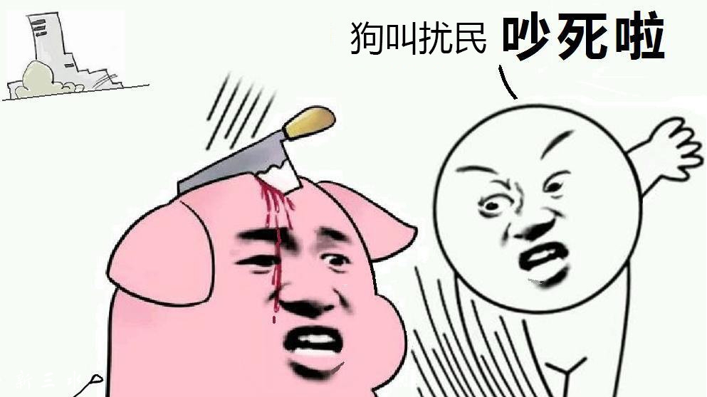 狗只叫声严重扰民,狗主称"我的狗听不懂人话我管不了"