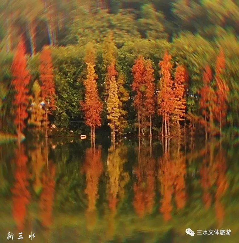 780a5c9e3bbd44cb06de285fd66d8a9c.jpg
