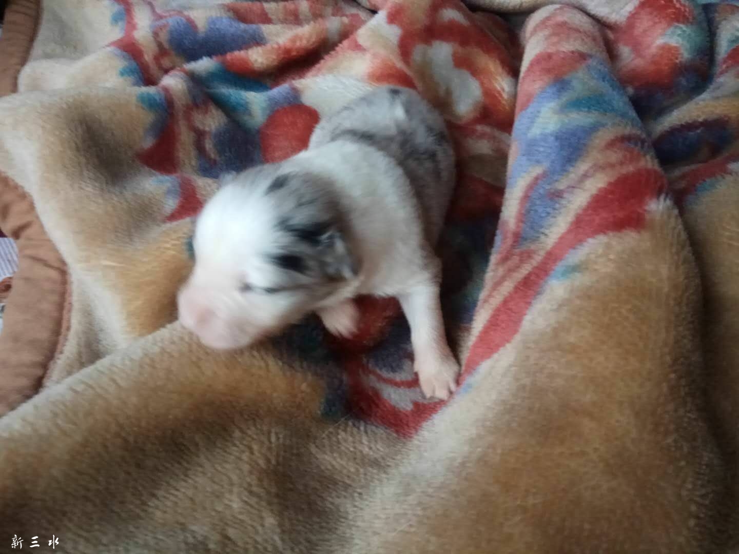 С��������