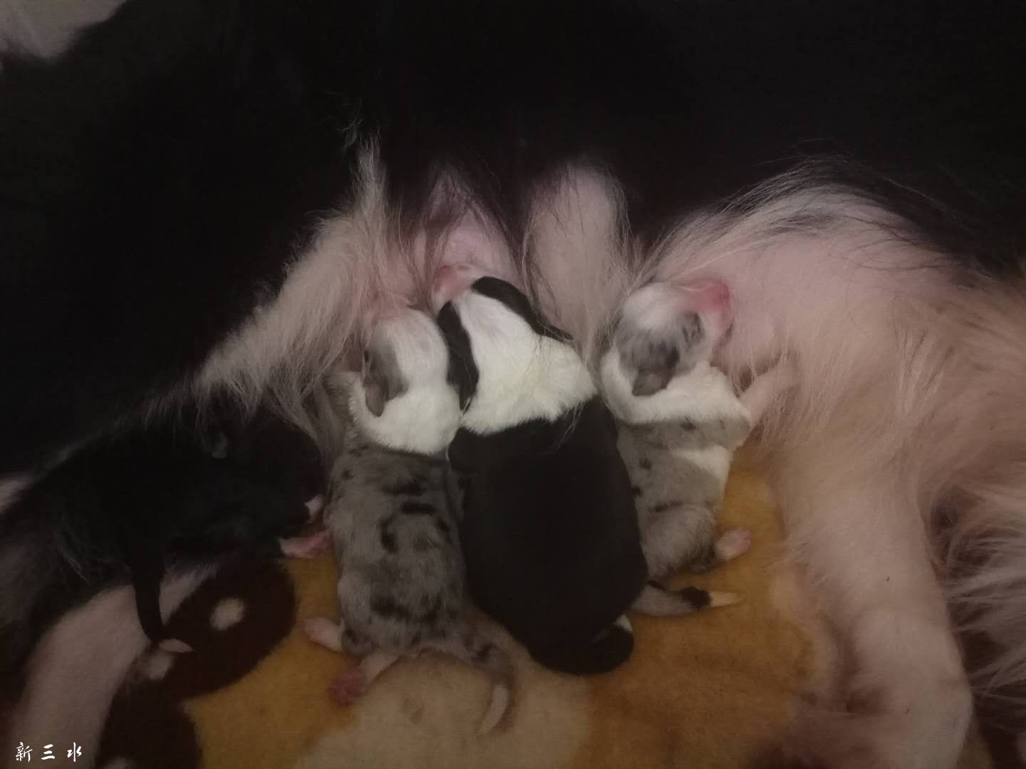 С��������