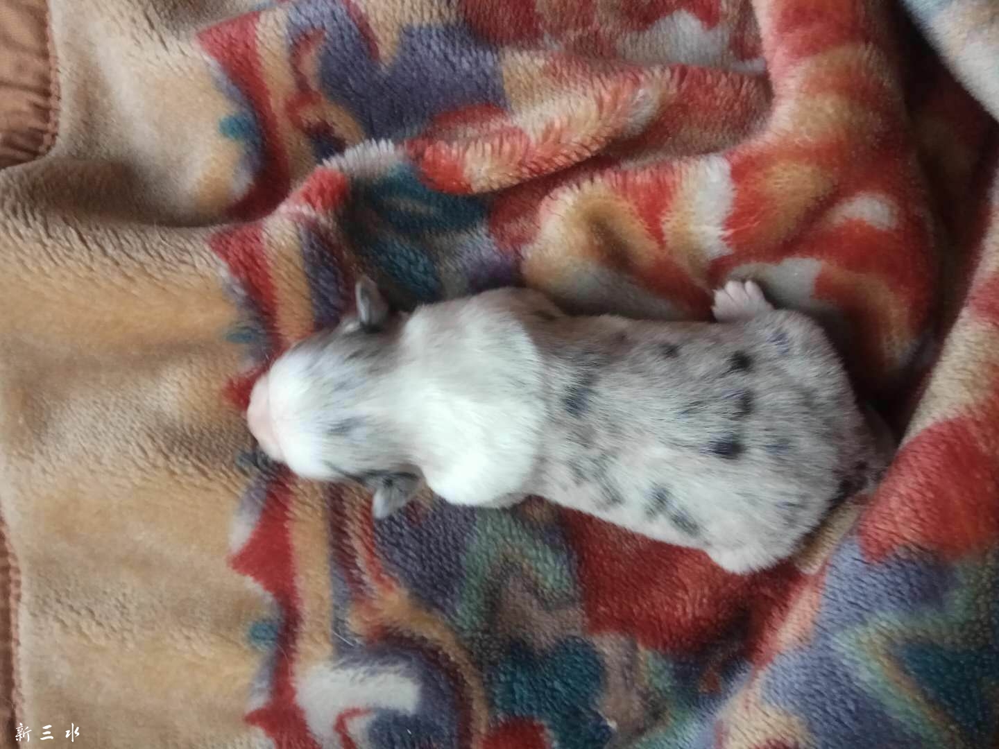 С��������