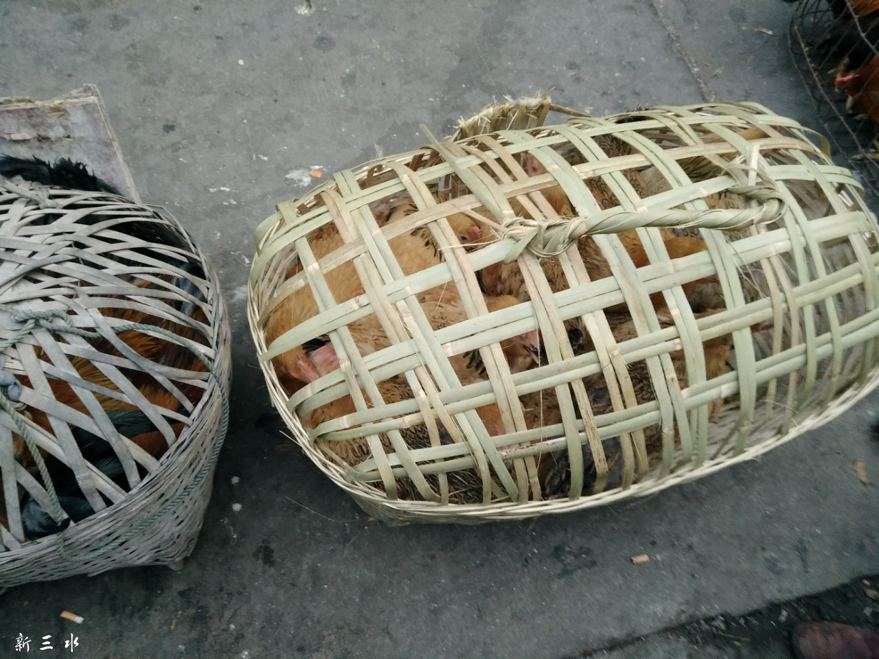 三水城市人河口市场更适合你,想食新鲜活鸡就来!