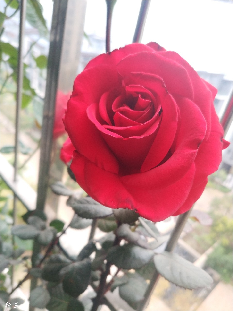 20190205_184148_1549330358255.jpg