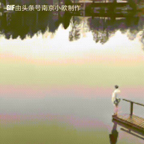 20190206_115938_1549465173213.gif