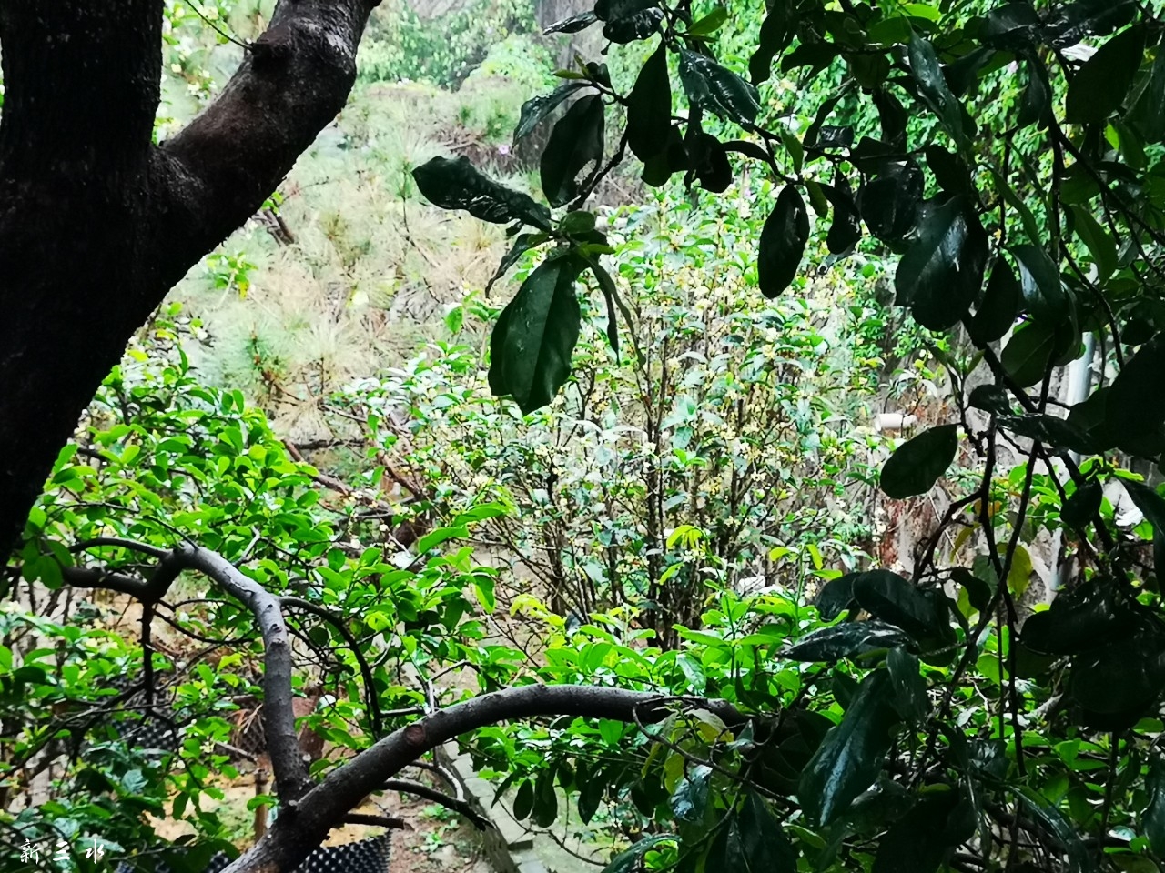20190302_187510_1551522295876.jpg