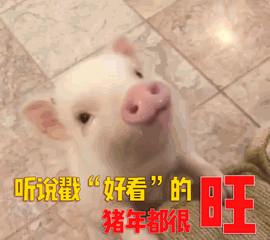 9dca950419078ef4bcd297b61bb40b3c.gif