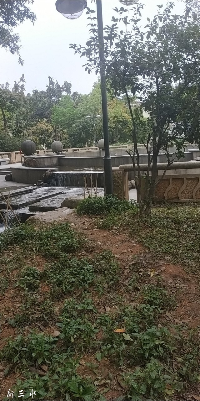 20190320_172965_1553068360140.jpg