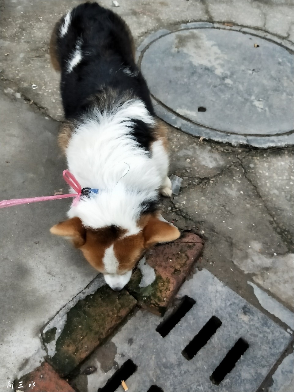 20190404_188960_1554354063483.jpg