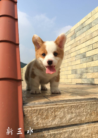 QQ截图20190408092939.png