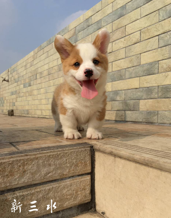 QQ截图20190408093009.png