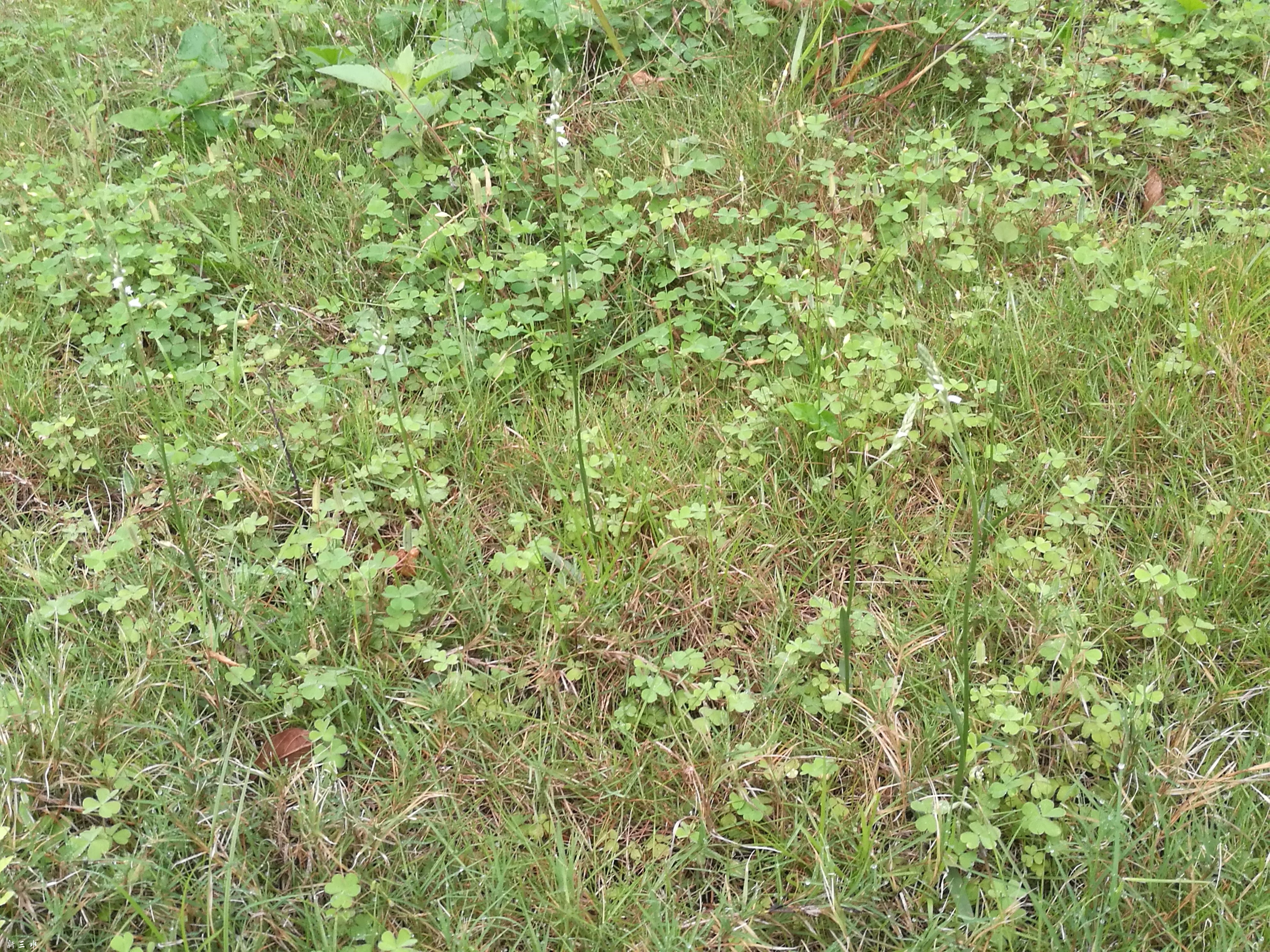 IMG_20190329_072321.jpg