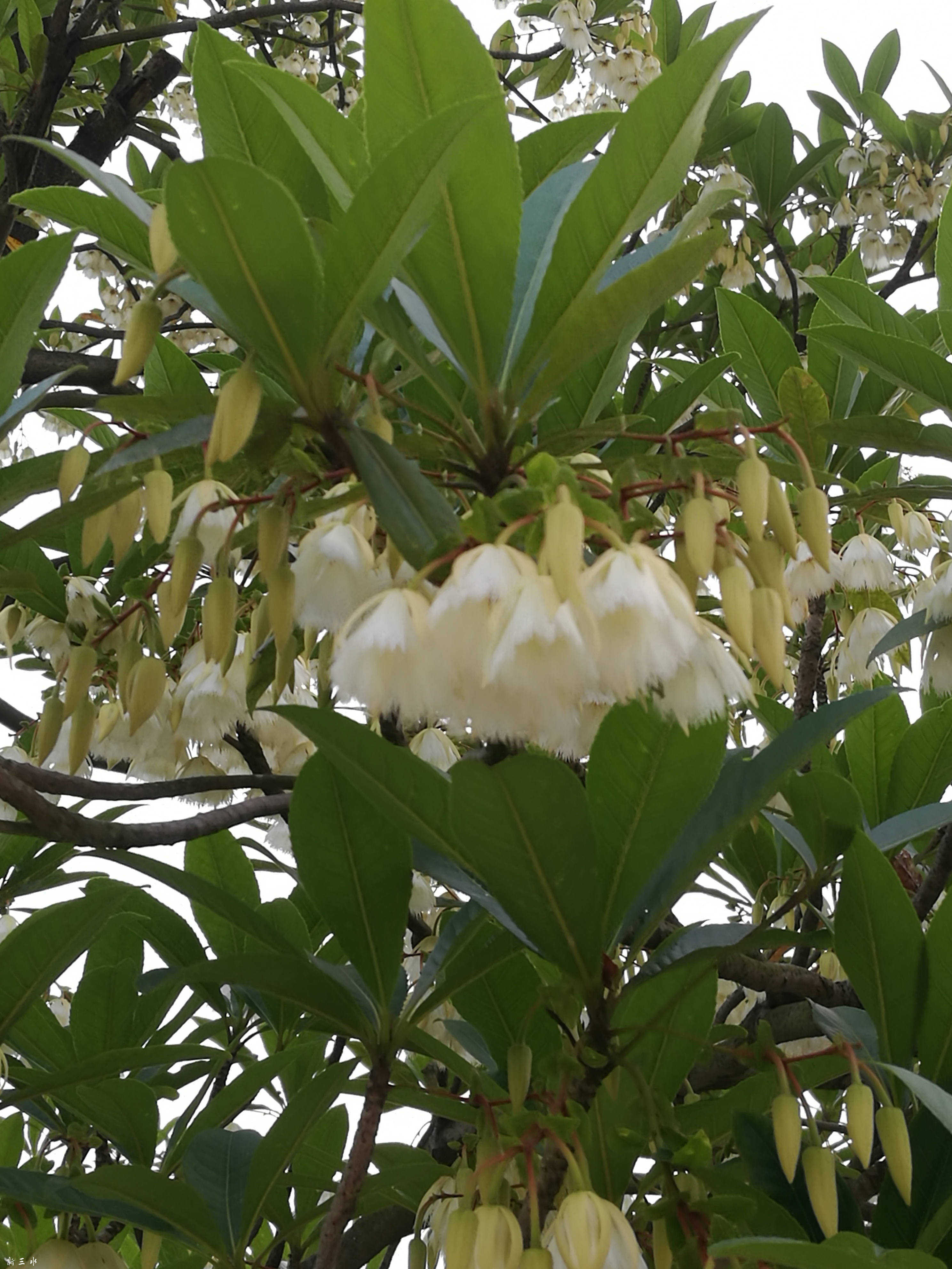 IMG_20190428_175105.jpg