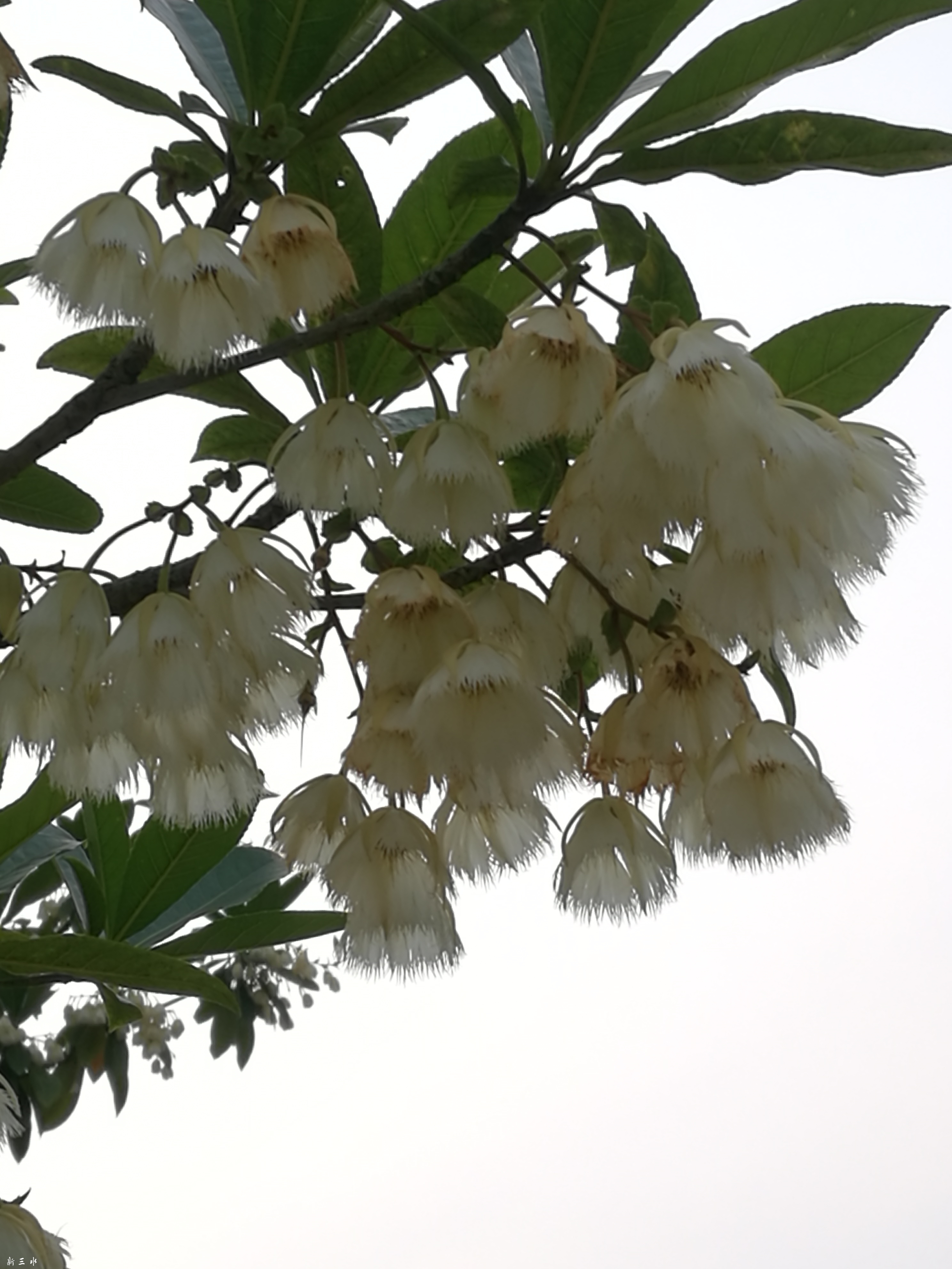 IMG_20190428_175129.jpg