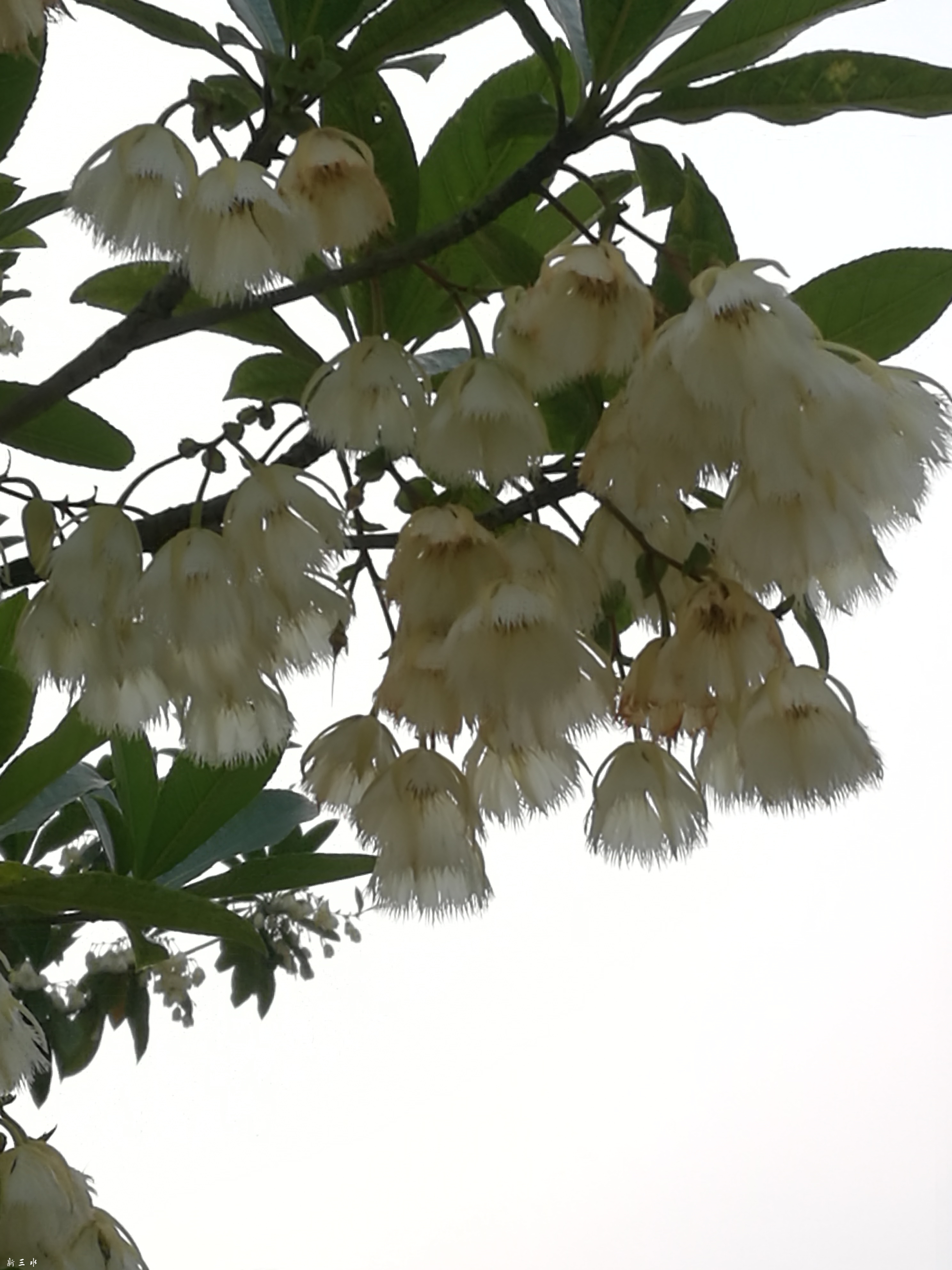 IMG_20190428_175131.jpg