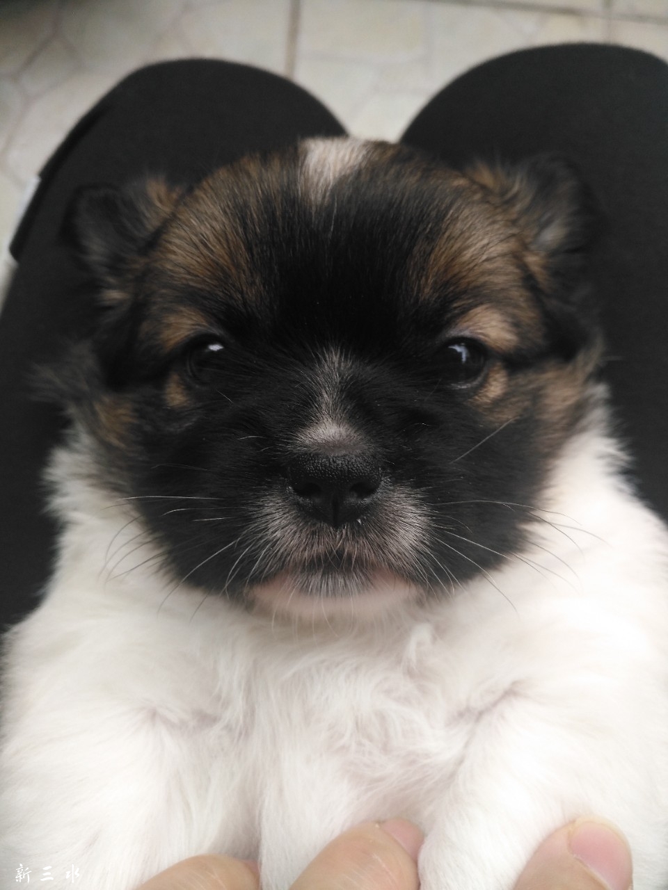 20190503_27899_1556866133210.jpg
