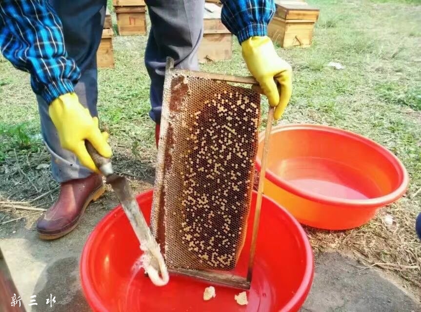 201905101907101557446055488865.jpg
