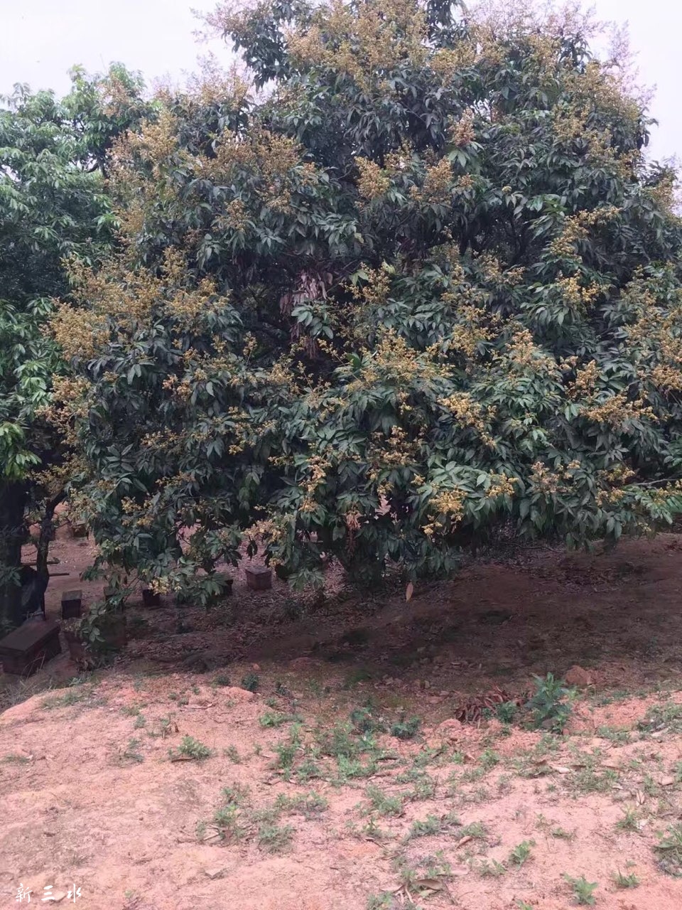 201905101907101557446055535445.jpg