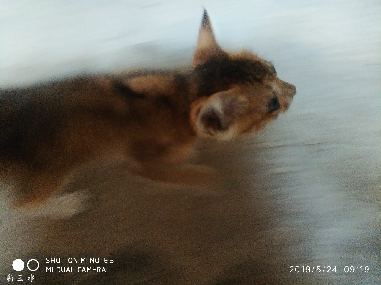 20190524_181639_1558673698538.jpg