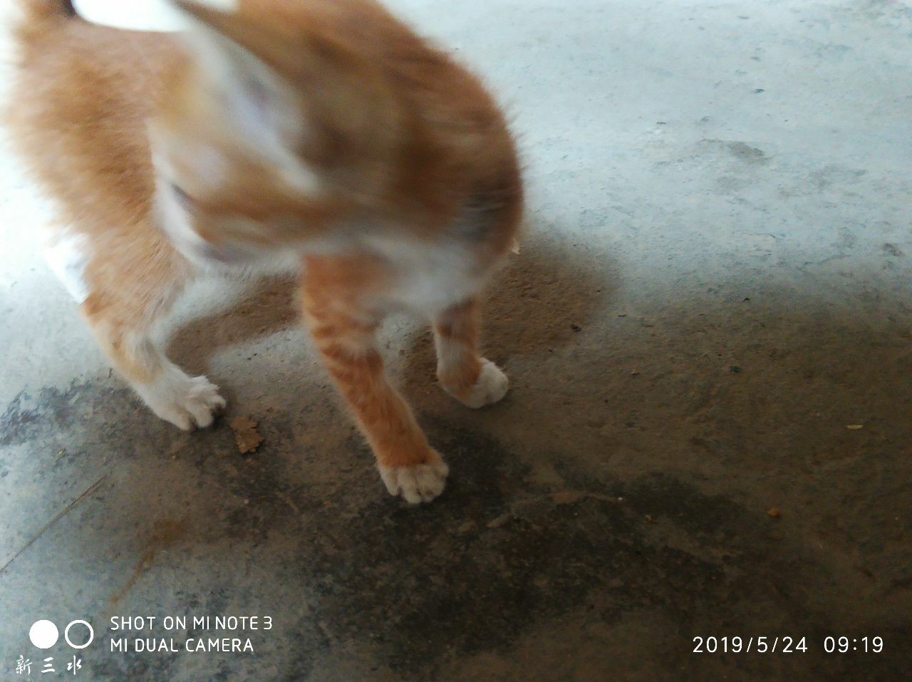 20190524_181639_1558673698489.jpg